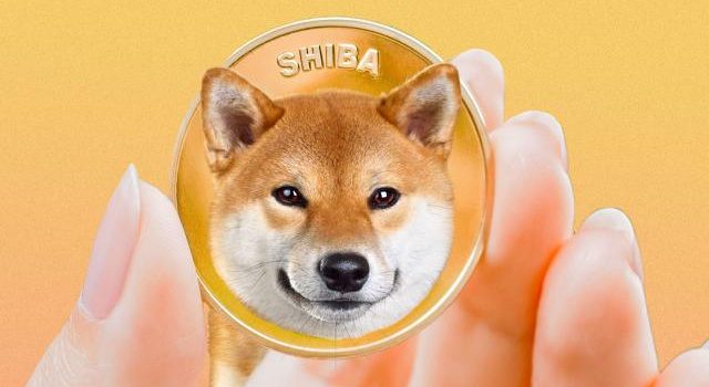 apa-itu-shiba-inu-token